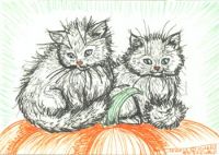 Cats on a Pumpkin